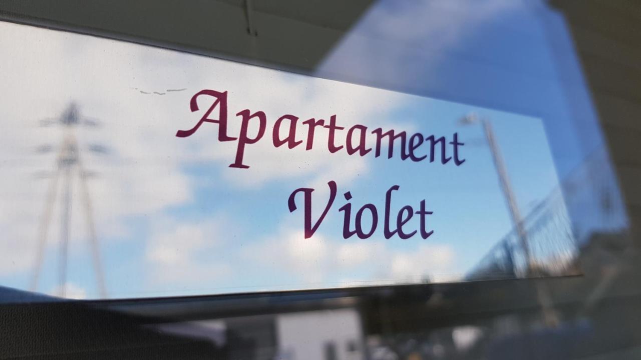 Villa Sole プルシュチ・グダンスキ エクステリア 写真